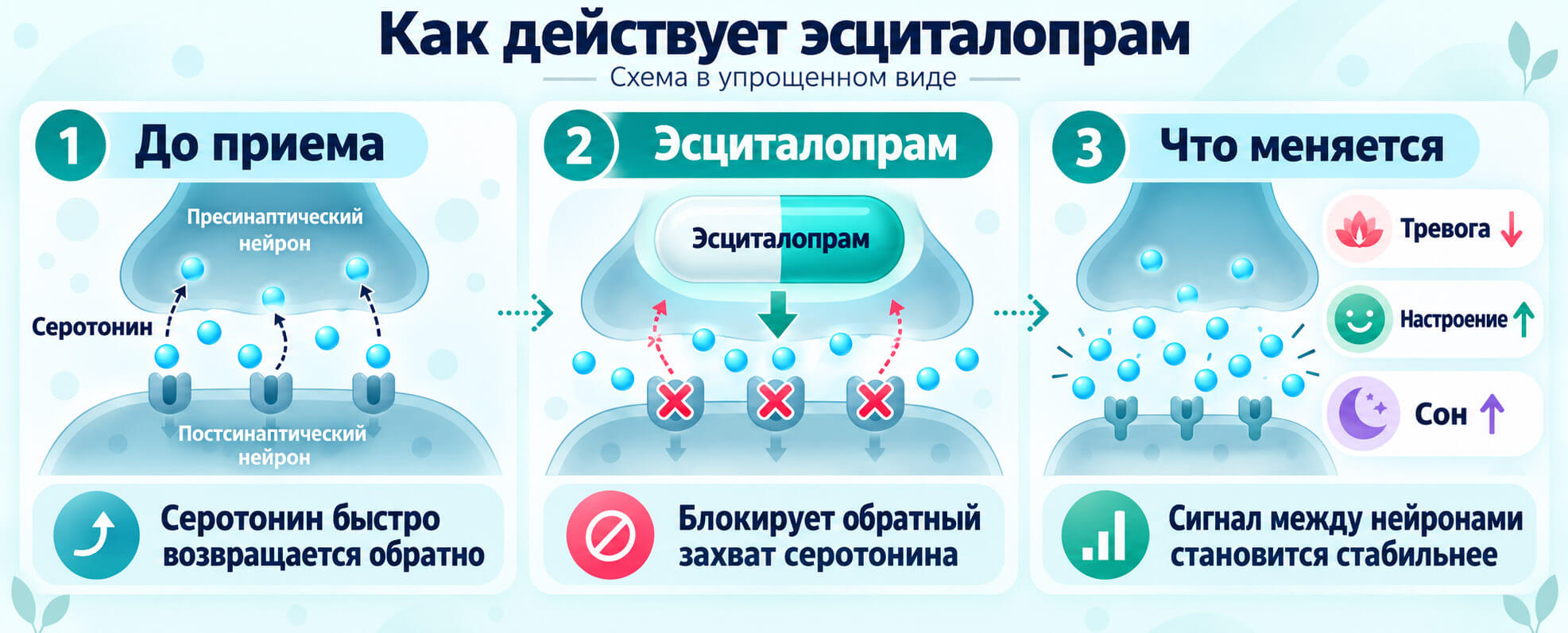 Как действует эсциталопрам: схема влияния на обратный захват серотонина